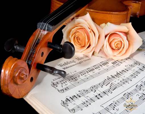 چه نوع موسیقی برای چه مراسمی بهتر است؟